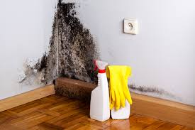 Best Black Mold Removal  in Lockeford, CA